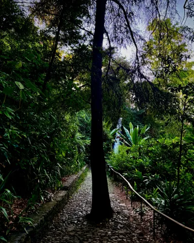 Path to the Hidden Waterfall