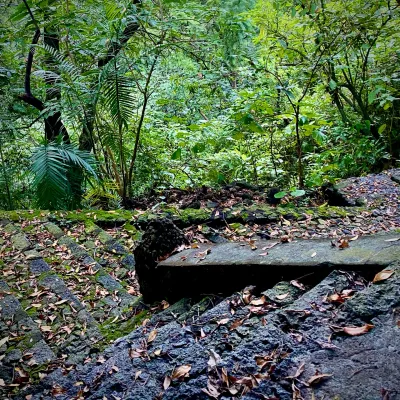 Mossy Stone Steps