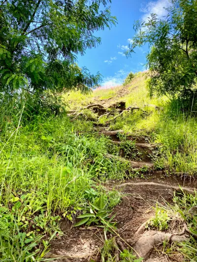 Climbing the Hillside Path