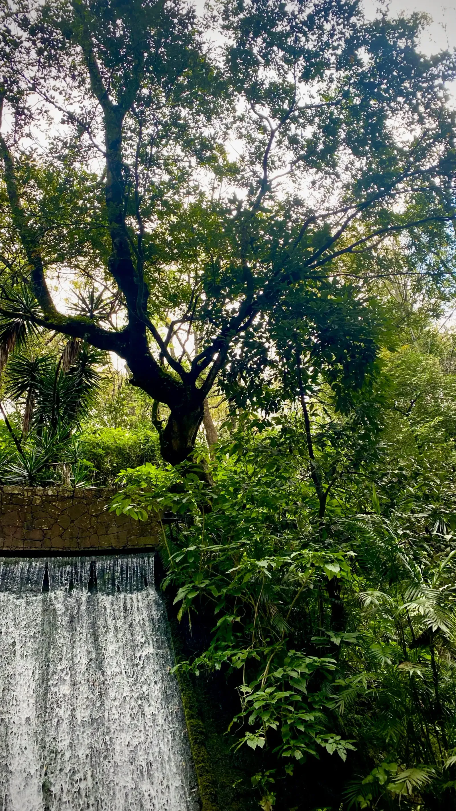 Waterfall in the Barranca