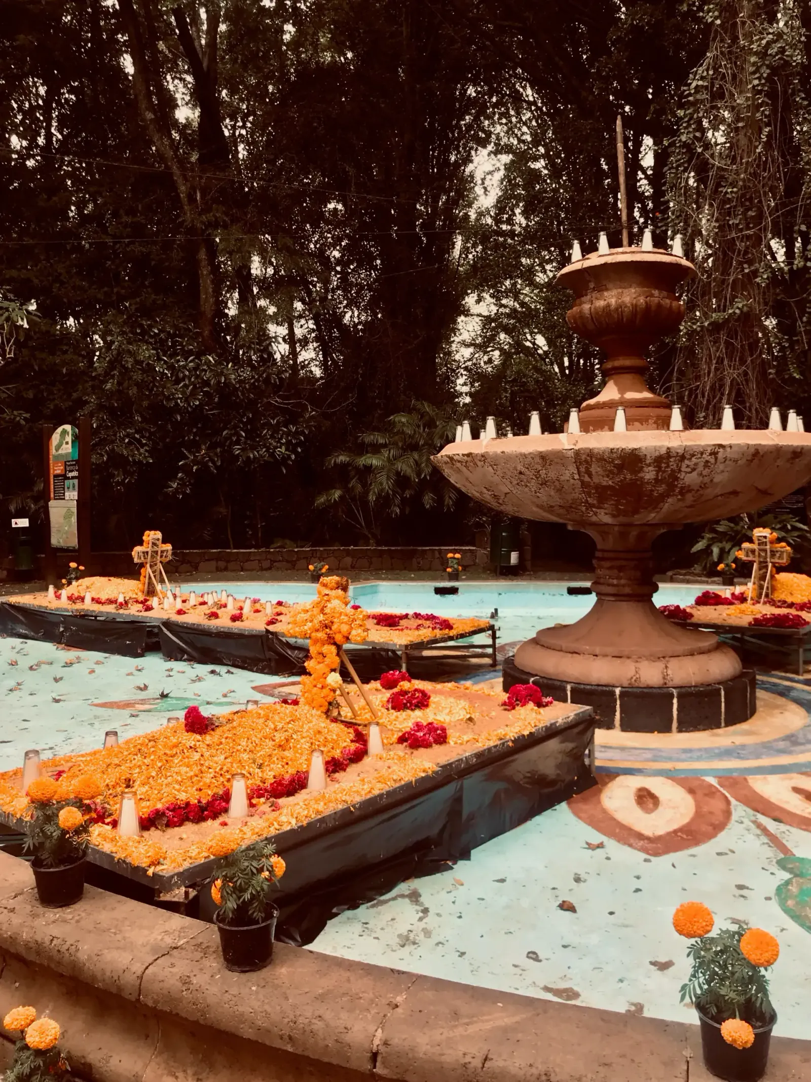 Day of the Dead Offering, Barranca del Cupatitzio