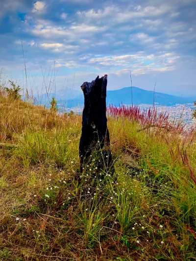 Burnt Stump, City Below